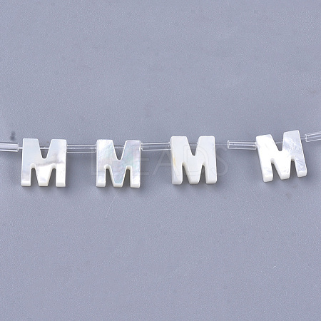Natural Sea Shell Beads SHEL-T012-60M-1