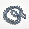 Frosted Electroplate Glass Shell Beads Strands X-EGLA-M002-B01-2