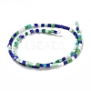 Handmade Lampwork Beads Strands LAMP-F022-01B-2