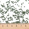 TOHO Round Seed Beads SEED-TR11-0119-4
