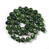 Natural Sesame Jasper Dyed Beads Strands G-H057-A21-07-3
