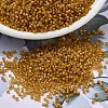 MIYUKI Delica Beads SEED-MY11-DB0272-1