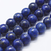 Natural Lapis Lazuli Beads Strands G-P348-01-10mm-1
