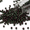 TOHO 6/0 Round Beads SEED-TR06-2204-1
