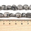 Natural Map Stone Beads Strands GG-CBA787B-A38-4