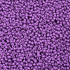 11/0 Grade A Baking Paint Glass Seed Beads X-SEED-N001-A-1052-2