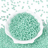 FGB Glass Seed Beads SEED-Q040-08A-10-2