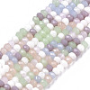 Glass Beads Strands GLAA-N041-003-1