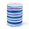 Segment Dyed Polyester Thread NWIR-I013-C-01-1