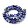Natural South Africa Sodalite Beads Strands G-S259-35-10mm-2