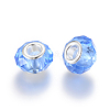 Handmade Glass European Beads GPDL25Y-22-2
