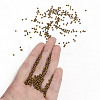 11/0 Grade A Baking Paint Glass Seed Beads LS-X-SEED-N001-A-1038-4