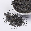 FGB 12/0 Grade A Round Glass Seed Beads X-SEED-A022-F12-602-1