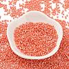 Baking Paint Glass Seed Beads X-SEED-S042-15B-29-2