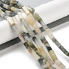 Natural Jade Beads Strands G-E612-C15-01-2