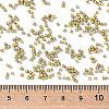 MIYUKI Delica Beads SEED-X0054-DB1164-2