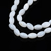 Natural Freshwater Shell Beads Strands SHEL-N003-25-A01-3
