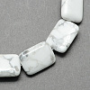 Rectangle Shaped Gemstone Natural Howlite Stone Beads Strands G-S112-23-1