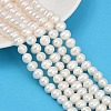 Natural Cultured Freshwater Pearl Beads Strands PEAR-I007-07J-02A-1