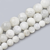 Natural Rainbow Moonstone Beads Strands LS-G-S333-8mm-002-2