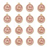 Golden Plated Alloy Enamel Charms ENAM-S118-07C-2