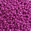Baking Paint Glass Seed Beads SEED-US0003-4mm-K21-3
