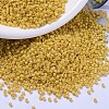 MIYUKI Delica Beads X-SEED-J020-DB2102-1