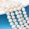 Natural Cultured Pearl Beads Strands PEAR-I007-07R-02A-1