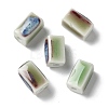Handmade Porcelain Beads PORC-L080-D16-1