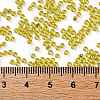 TOHO 11/0 Round Beads X-SEED-TR11-2151S-4