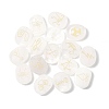 16Pcs 16 Styles Natural Quartz Crystal Display Decorations G-F786-02A-08-1