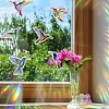 Hummingbird Rainbow Prism Electrostatic Window Stickers PW-WG45A57-01-3