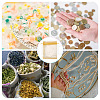 50Pcs Organza Bags Jewellery Storage Pouches Wedding Favour Party Mesh Drawstring Gift OP-TA0001-16C-8