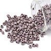 TOHO 6/0 Round Beads SEED-XTR06-0412F-1
