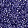 MIYUKI Round Rocailles Beads X-SEED-G009-RR0649-4