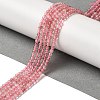 Natural Strawberry Quartz Beads Strands G-B090-A26-03-2