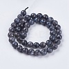 Natural Larvikite Beads Strands LS-G-G542-8mm-27-2