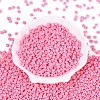 Opaque Glass Seed Beads SEED-N012-09A-11-2
