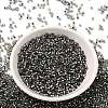 Glass Seed Beads X-SEED-S042-04B-31-2