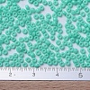 MIYUKI Round Rocailles Beads X-SEED-G007-RR4472-4