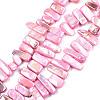 Natural Freshwater Shell Beads Strands X-SHEL-N026-123B-1