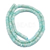 Natural Amazonite Beads Strands G-K245-C04-02-2