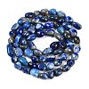 Natural Lapis Lazuli Beads Strands G-P497-01B-14-3