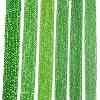 Electroplate Glass Beads Strands EGLA-A044-T4mm-A11-2