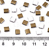 FGB 2-Hole Glass Seed Beads SEED-S031-L-ST41-G-2
