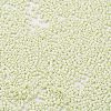 Baking Paint Glass Seed Beads X-SEED-S042-05B-63-3