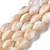 Natural Trochid Shell/Trochus Shell Beads Strands SSHEL-S266-021B-02-1