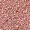 MIYUKI Round Rocailles Beads SEED-JP0008-RR0369-3