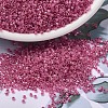 MIYUKI Delica Beads SEED-X0054-DB1742-1