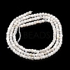 Natural Rainbow Moonstone Beads Strands G-G140-C01-02-2